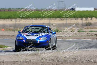 media/Apr-10-2022-Speed Ventures (Sun) [[fb4af86624]]/Green/Grapevine (Session 3)/